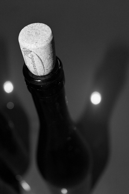 Free Came Bottle photo and picture