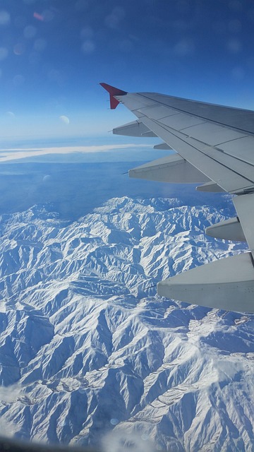 Free Flight Flying photo and picture