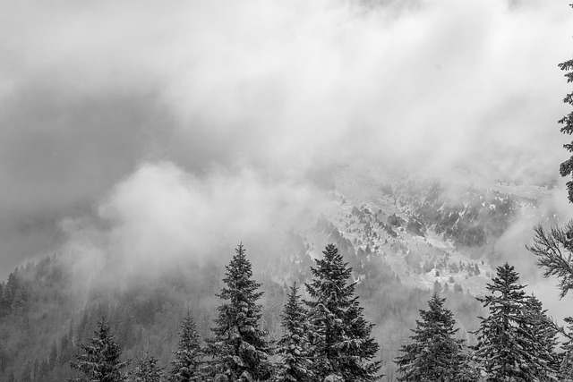 Free Mountain Cloud photo and picture