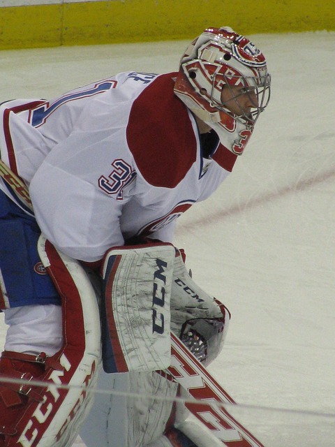 Free Montreal Hockey photo and picture