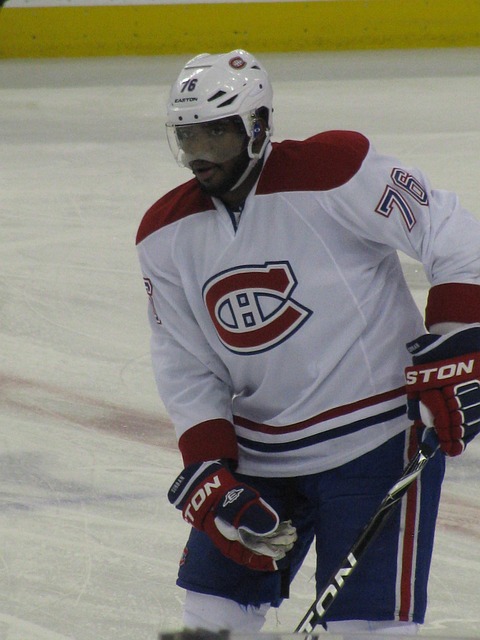 Free Hockey Subban photo and picture