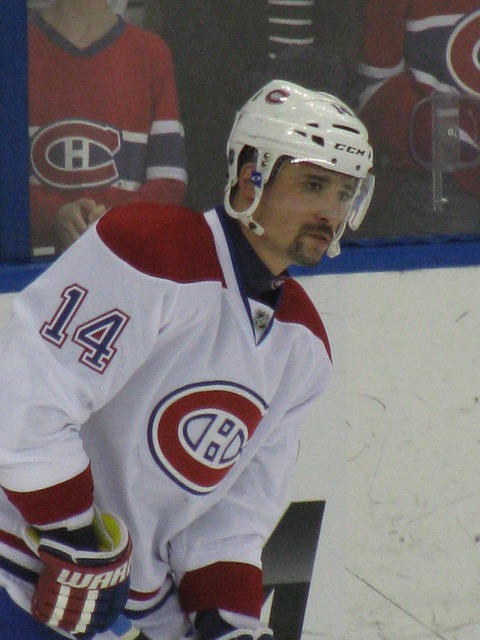 Free Hockey Tomas photo and picture