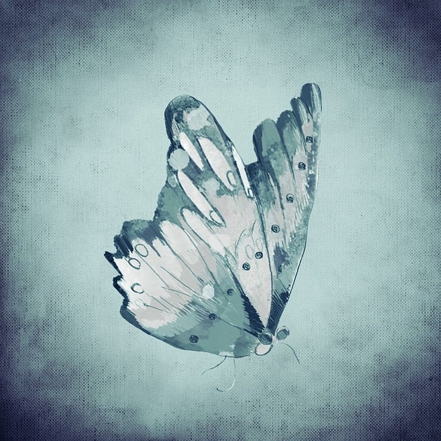 Free butterfly blue insect illustration