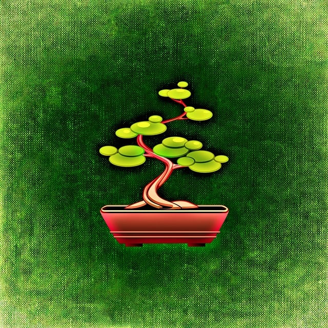 Free bonsai nature tree illustration
