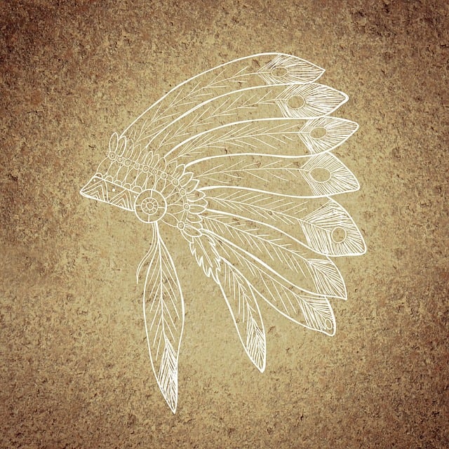 Free indian feather jewelry feathers illustration