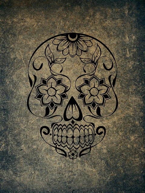 Free skull and crossbones scary skull illustration