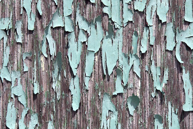 Free Texture Peeling photo and picture