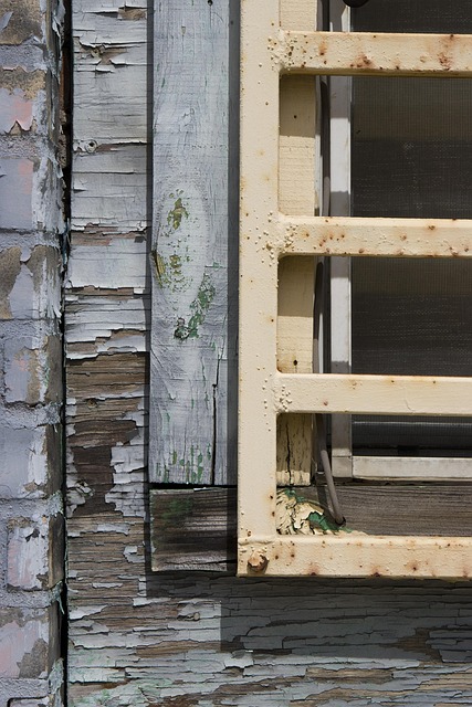 Free Window Urban photo and picture