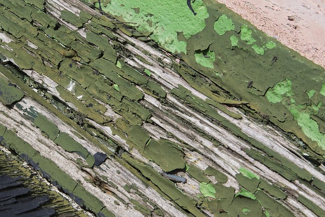 Free Peeling Paint photo and picture