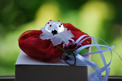 Free Graduation Wedding Favor photo and picture