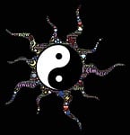 awake, alive, aware