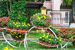 garden, flower, landscaping