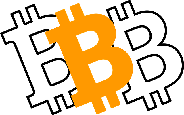 Free bit-coin coin currency illustration