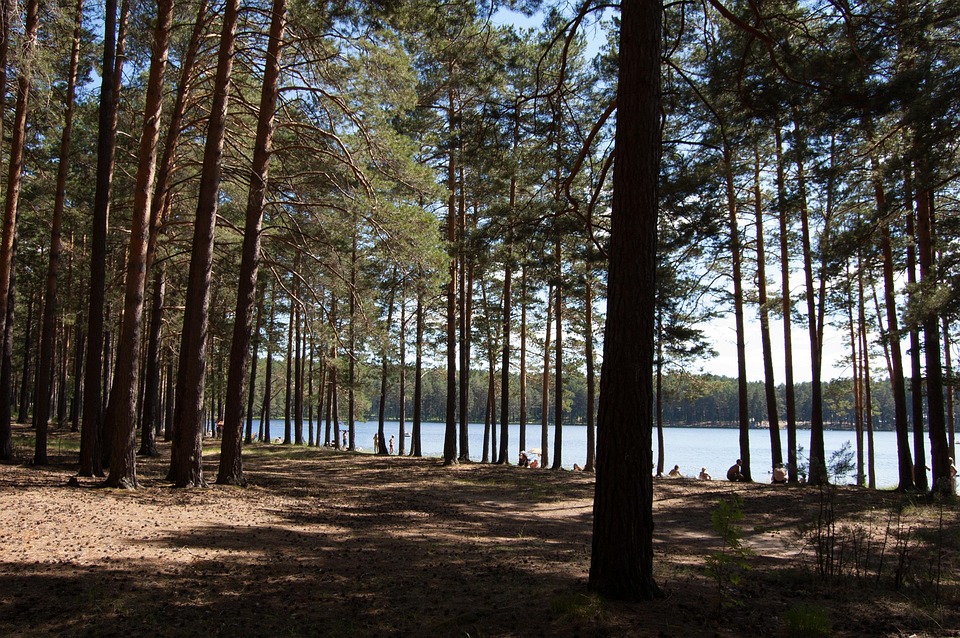 Verao O Lago Siberiano Siberia Foto Gratuita No Pixabay