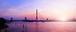 rama viii bridge, bangkok, thailand