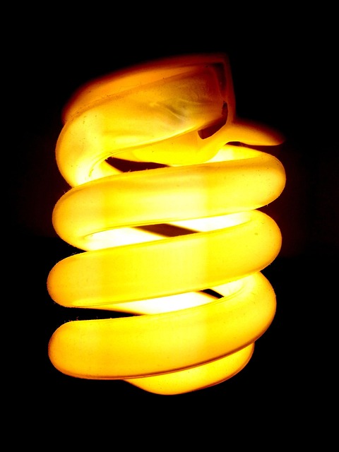 Free Bulb Dark photo and picture