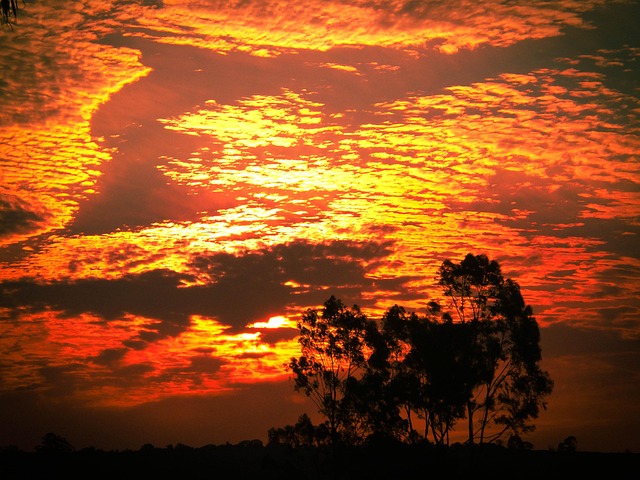 Free Clouds Sunset photo and picture