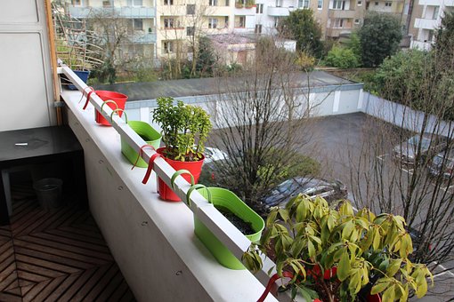 Free Balcony Plant Pot photo and picture