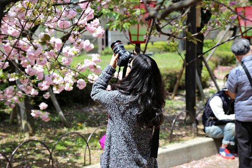 Free Photography Photographer photo and picture