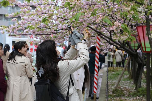 Free Japan Women photo and picture