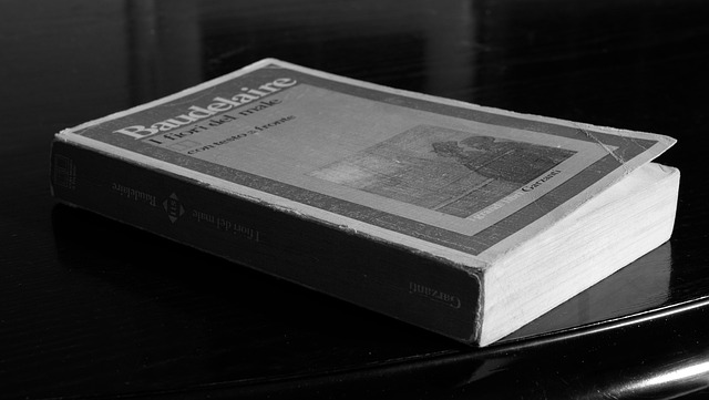 Free Book White Black photo and picture