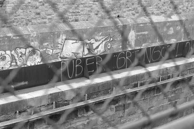 Wien, Zaun, Graffiti, Sprayen