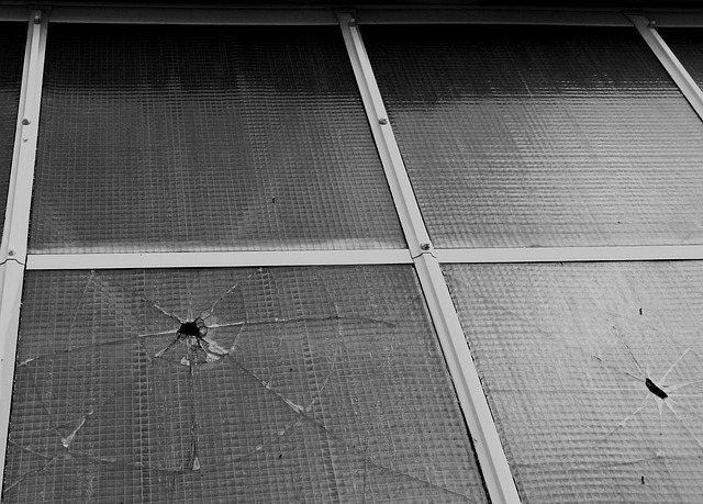 Free Window Disc photo and picture