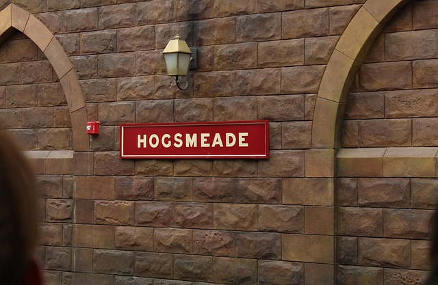 Free Hogsmeade Train Station photo and picture
