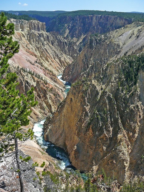 Free River Yellow Stone photo and picture