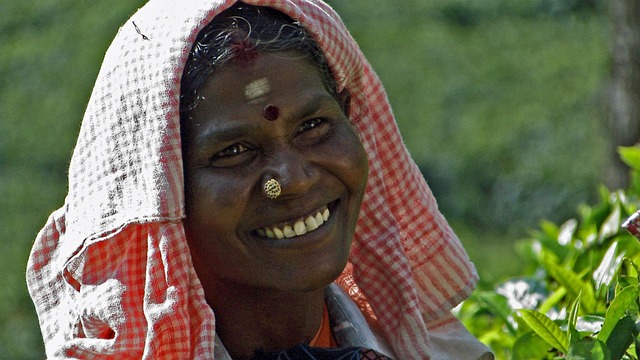 Free Tea Picker Munnar photo and picture