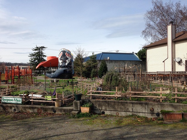 Free Community Garden photo and picture