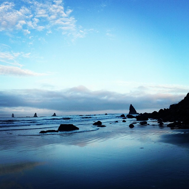 Free Reflection Water photo and picture