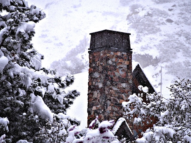 Schornstein, Haus, Bäume, Schnee, Kalt