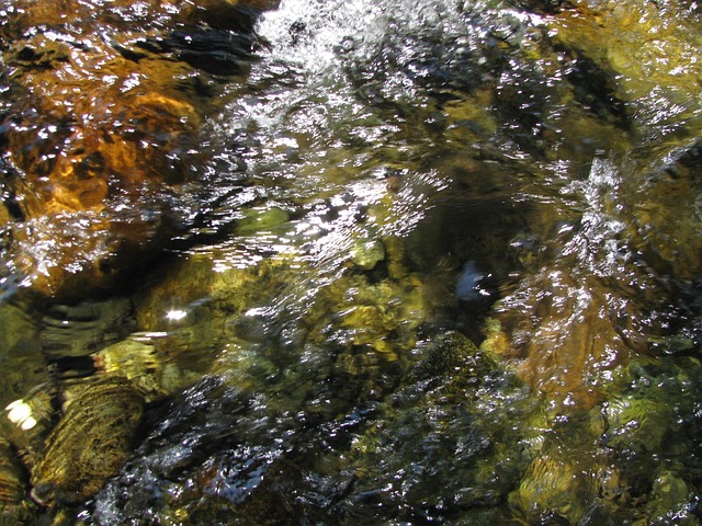 Free Water River photo and picture