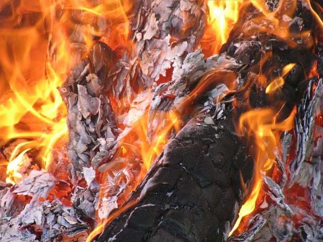 Free Bonfire Fire photo and picture
