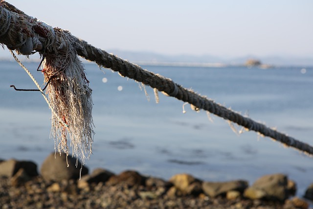 Free Rope Thong photo and picture