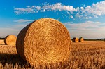 straw bales, stubble, agriculture