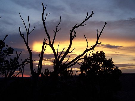 Free Sunset Twilight photo and picture