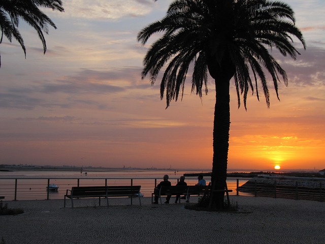 Free Friends Evening photo and picture
