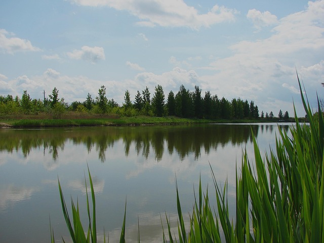 Free Nature Landscape photo and picture