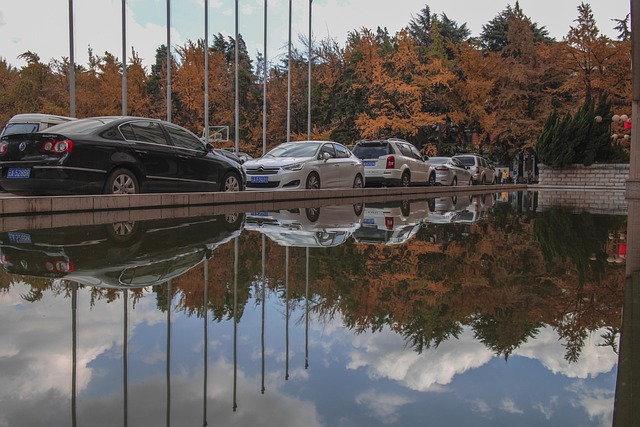 Free Cars Pond photo and picture
