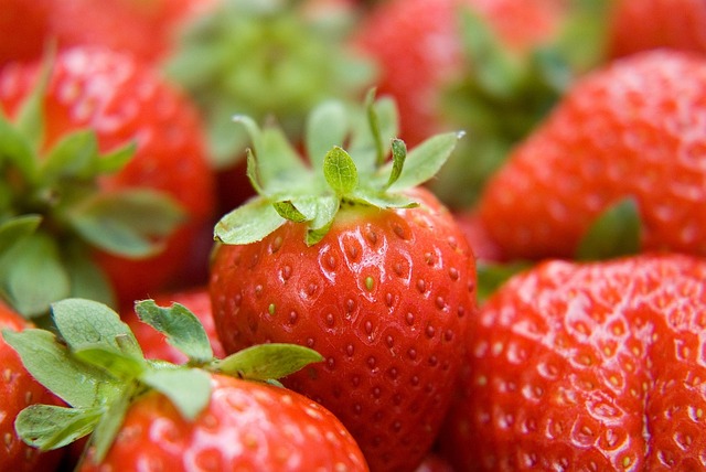 Free Strawberry Fruit photo and picture
