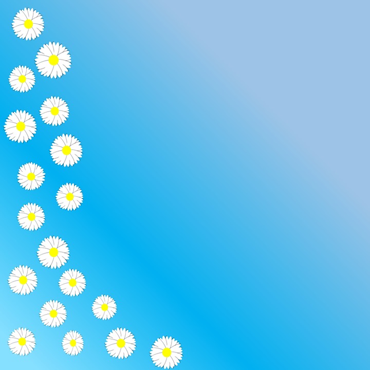 Daisy Flower Spring · Free image on Pixabay