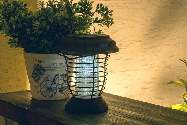 Free Light Potted Plant photo and picture