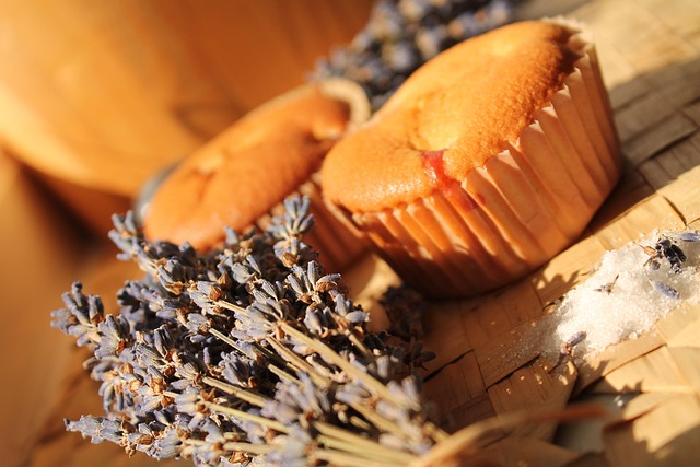 Free Lavender Muffin photo and picture