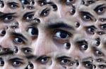 eyes, many, views
