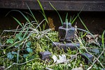 seemed screw, iron, train