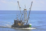 boat, fish, cutter