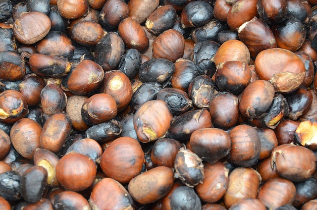Free August Chestnuts photo and picture