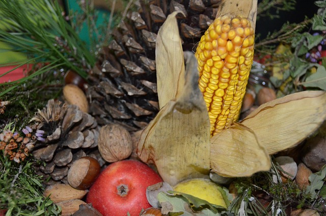 Free Autumn Center photo and picture